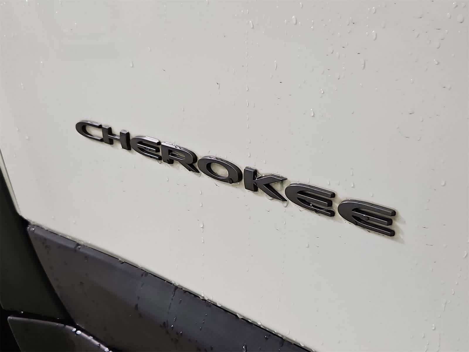 Thumbnail: 2019 Jeep Cherokee - 12