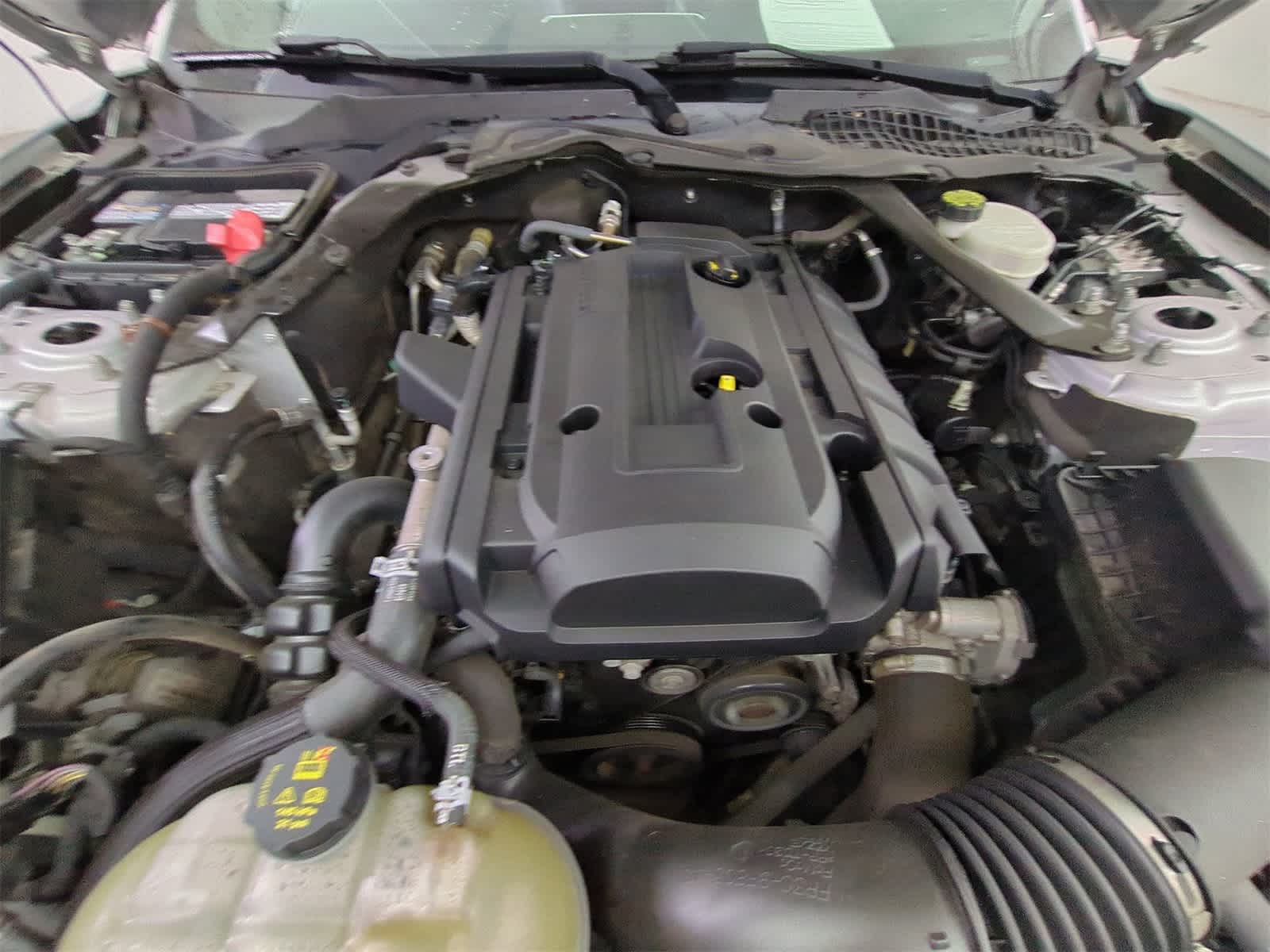 Thumbnail: 2016 Ford Mustang - 15