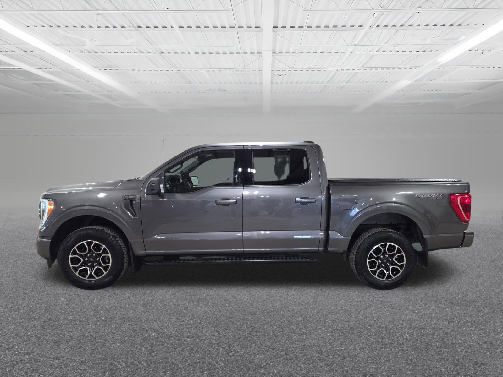 2023 Ford F-150 XLT's photo