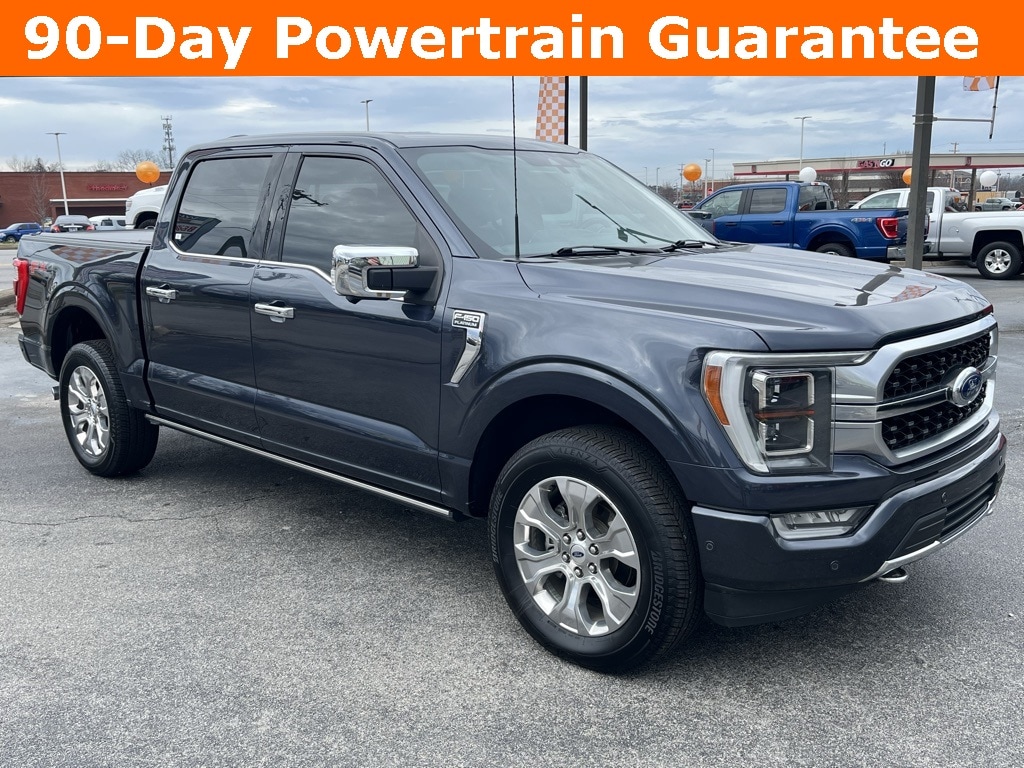 2021 Ford F-150 Platinum's photo