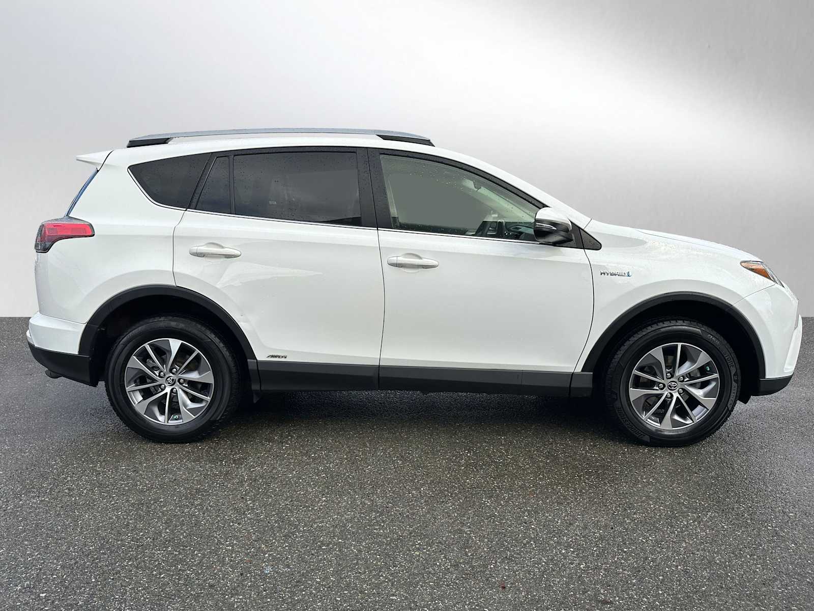 2018 Toyota RAV4 Hybrid LE photo 2