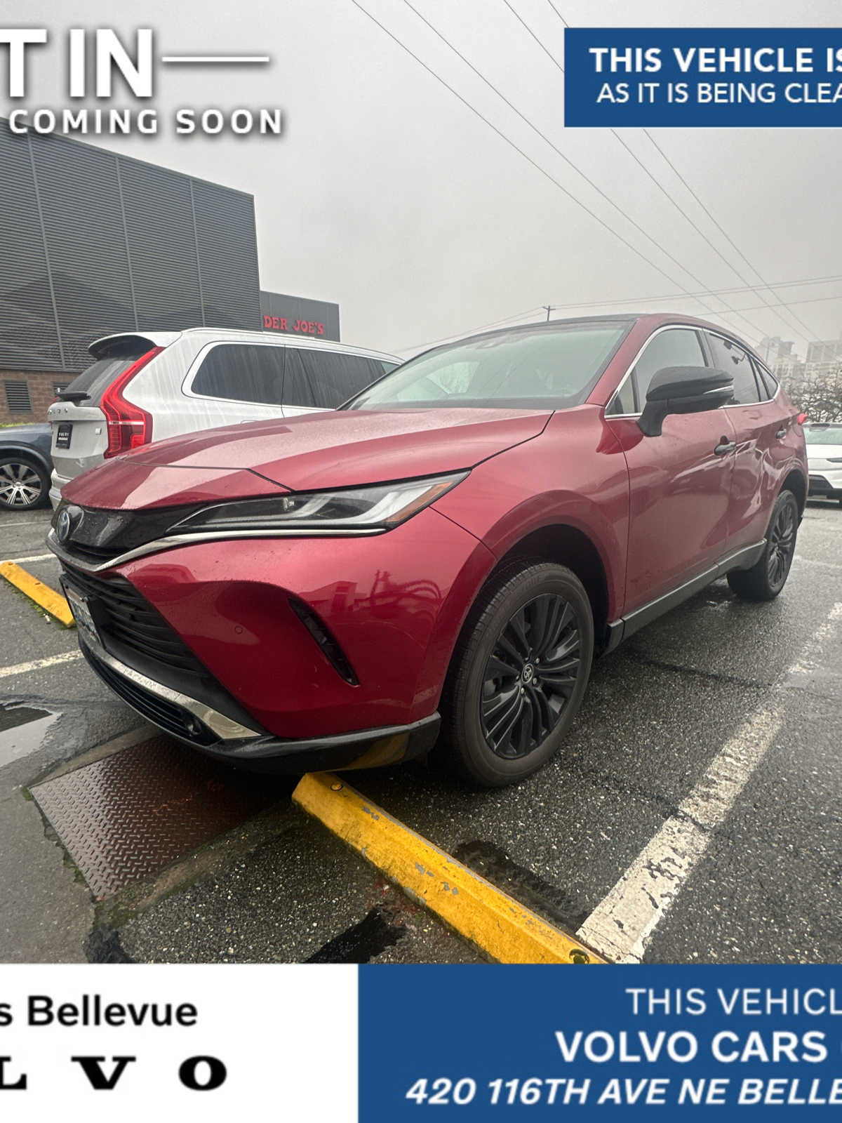 2024 Toyota Venza Nightshade's photo