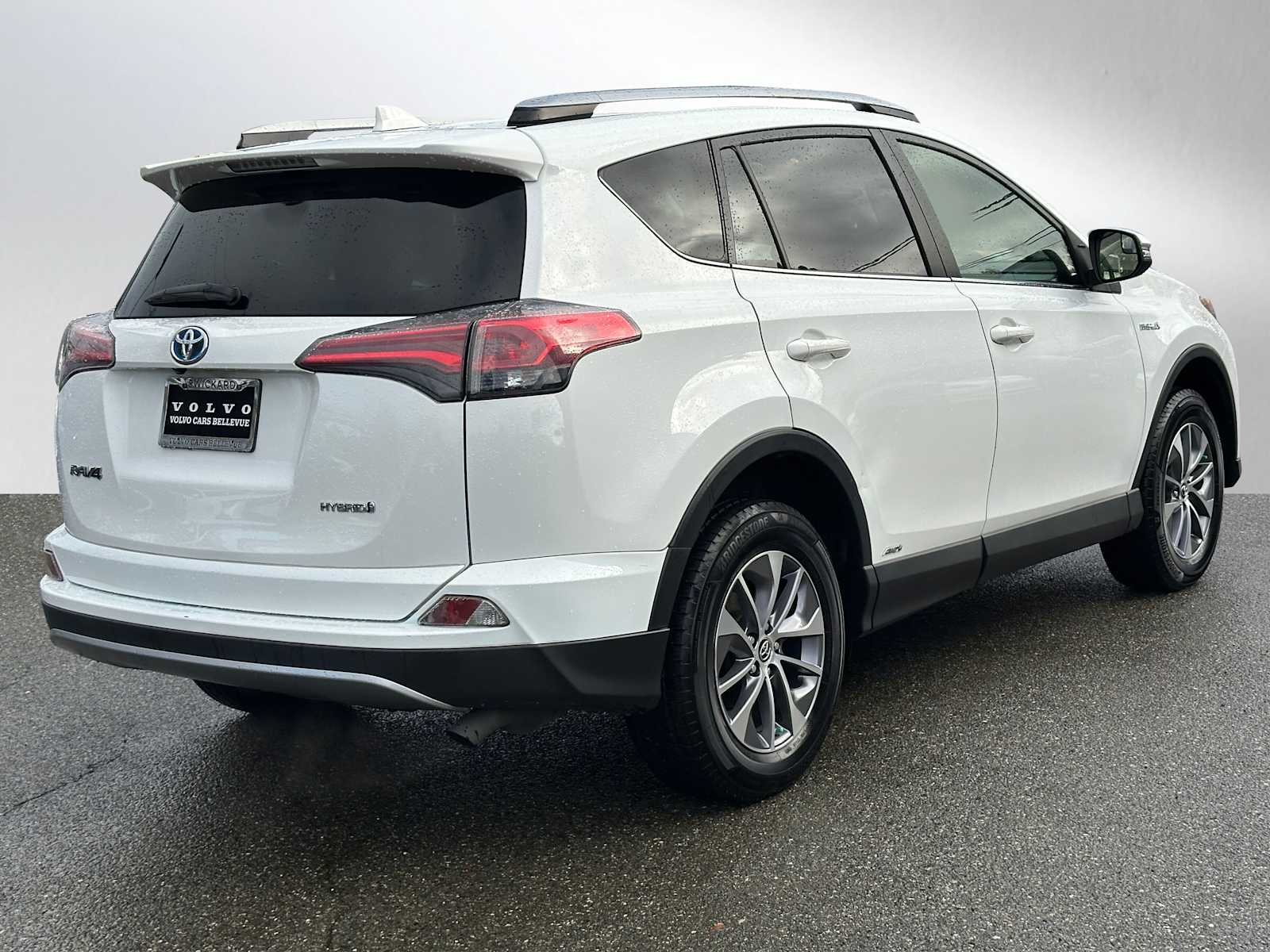 2018 Toyota RAV4 Hybrid LE photo 3