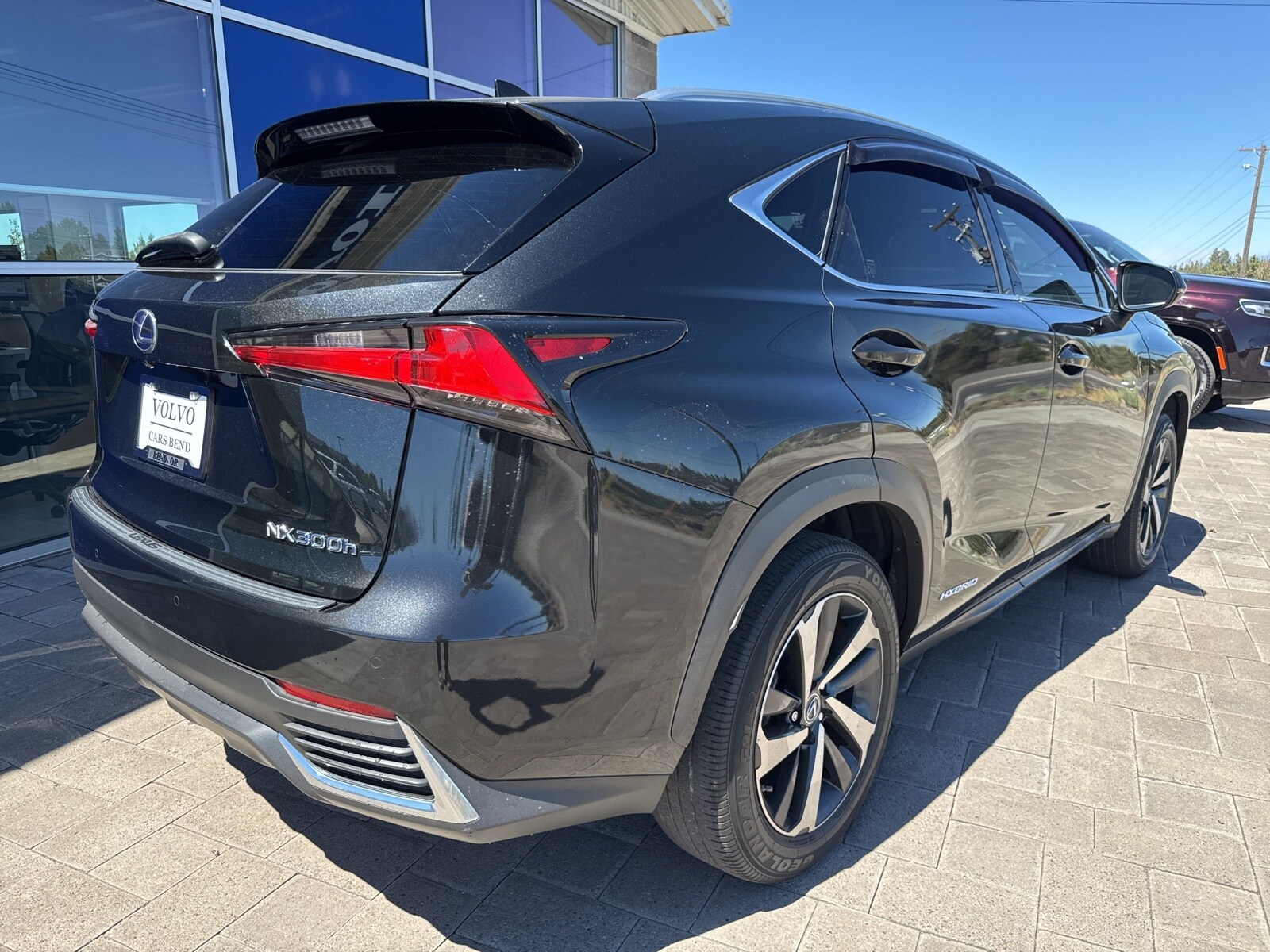 2021 Lexus NX 300h photo 4