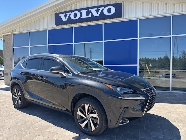 2021 LEXUS NX 300h SUV