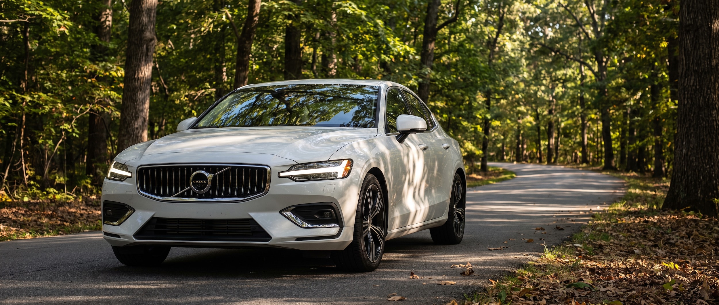 2025 Volvo S60 sedan on a sunlit tree-lined road in Upstate South Carolina near Greenville