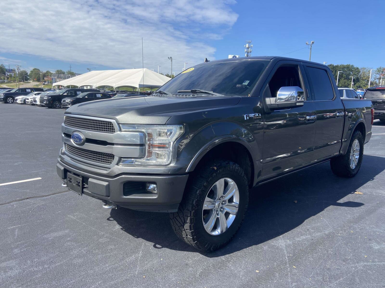 2020 Ford F-150 Platinum photo 3