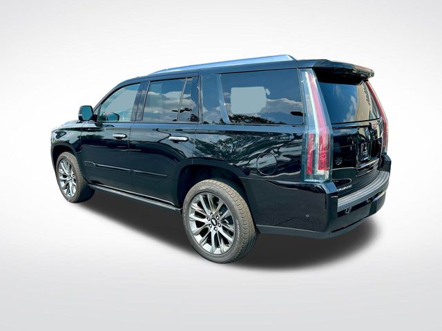 2020 Cadillac Escalade Platinum photo 3