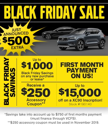 Black Friday Sale