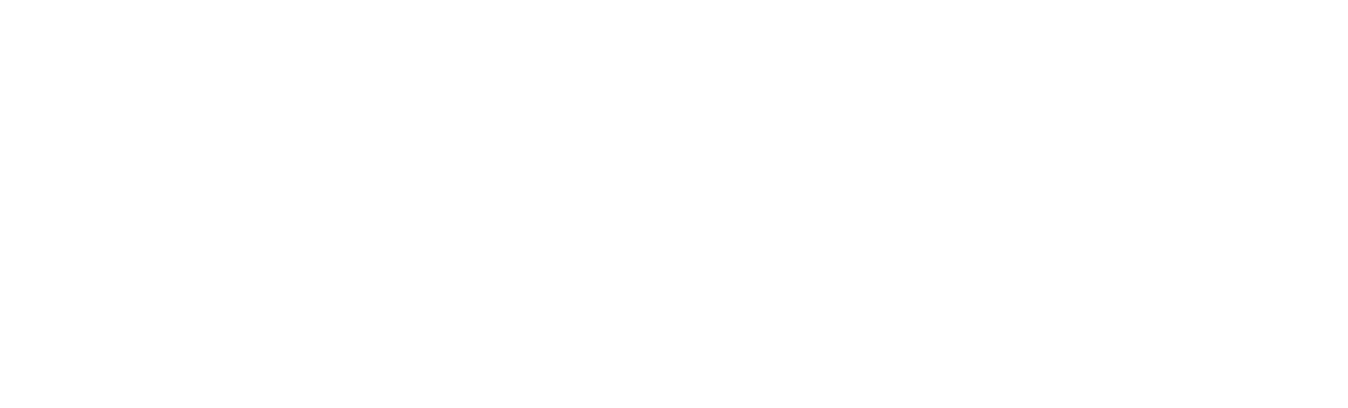 the-premier-experience-logo-transparent-white.png