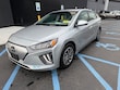  Hyundai Ioniq EV