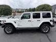 2021 Jeep Wrangler Unlimited Sahara SUV