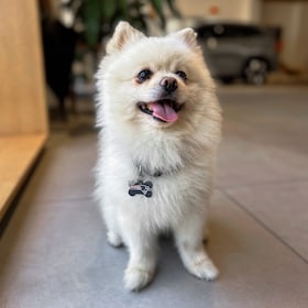 Staff member Wilson from ID_e457d23222cb