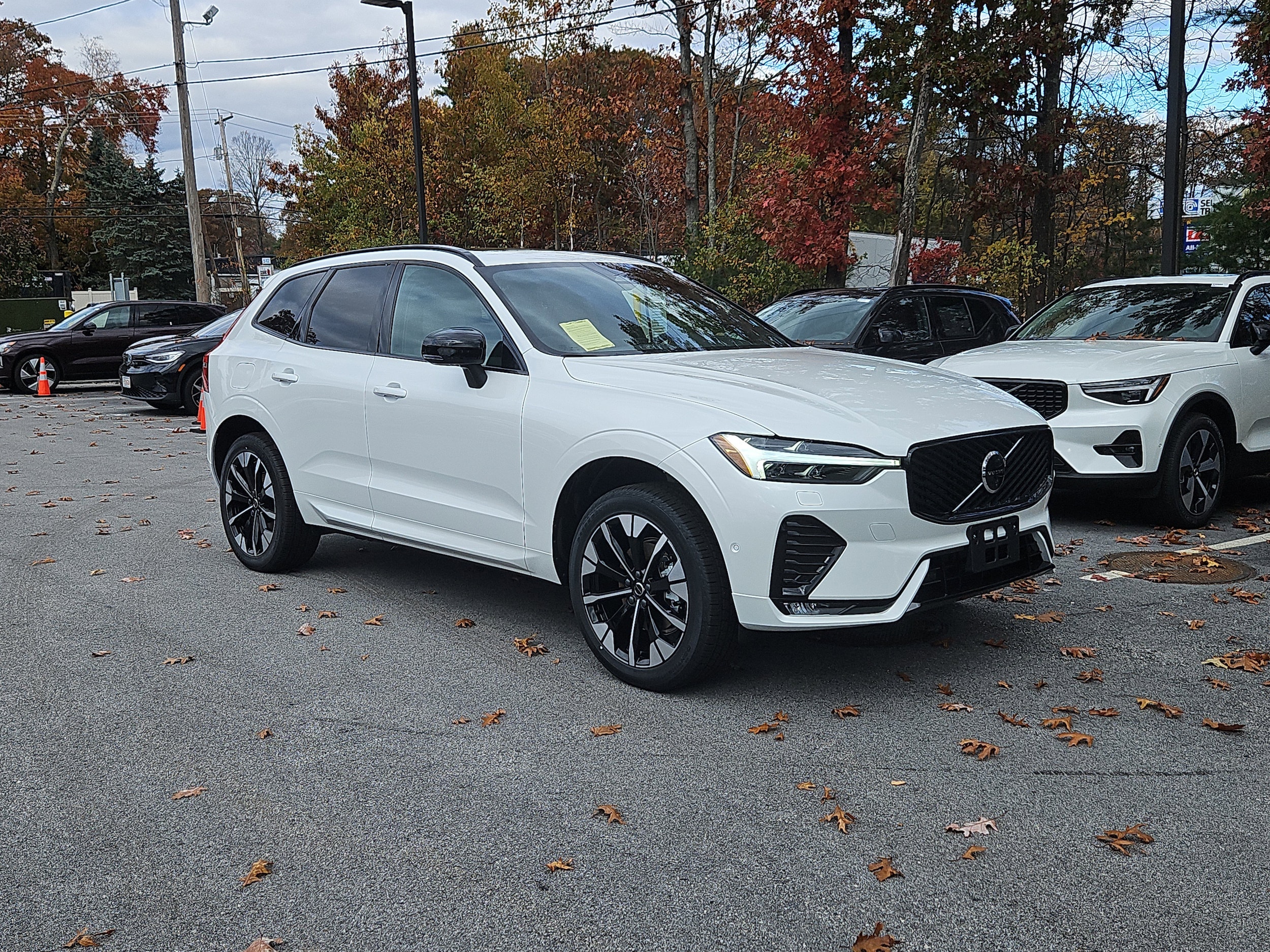 2026 Volvo XC60 Plus's photo