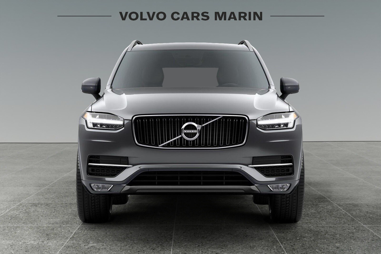 2018 Volvo XC90 T6 AWD Momentum photo 2