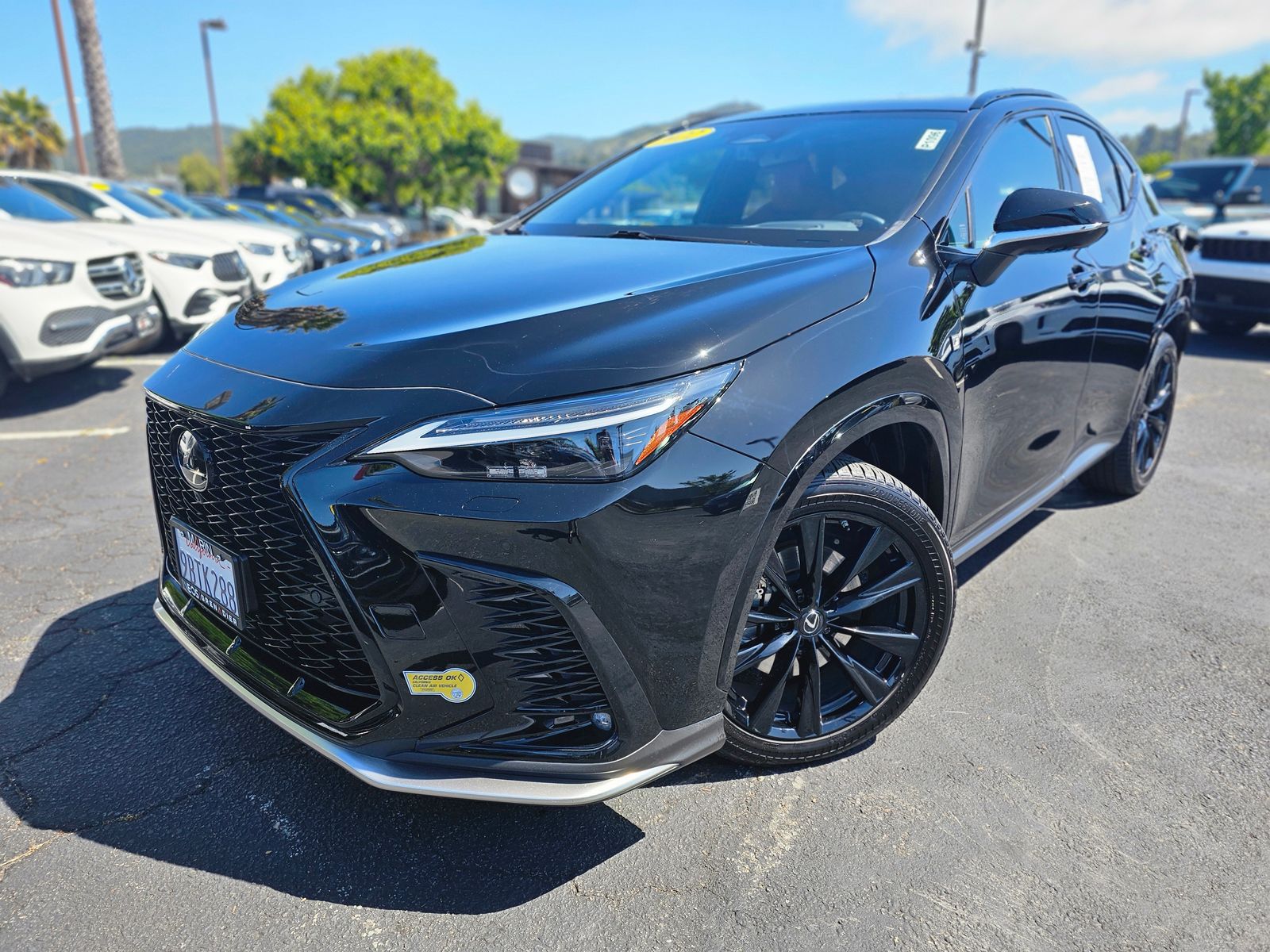 2022 Lexus NX 450h+ 450+ F-Sport AWD's photo