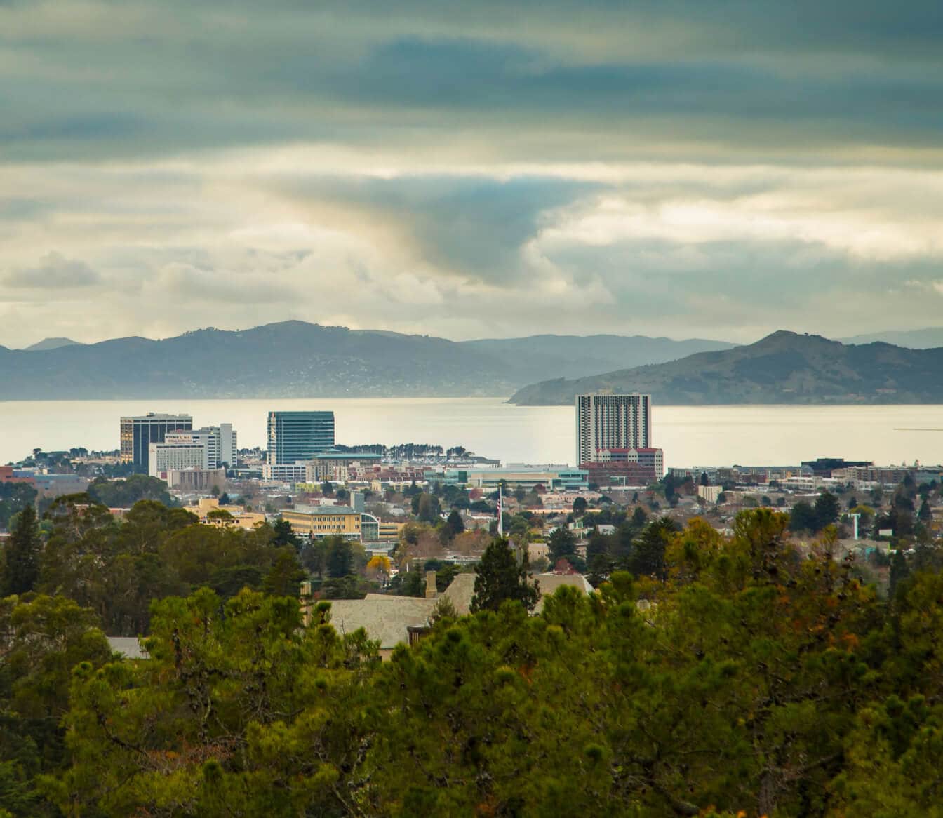 A panoramic wide shot of the Oakland, CA skyline nestled behind a lush green forest, looking out over the bay.