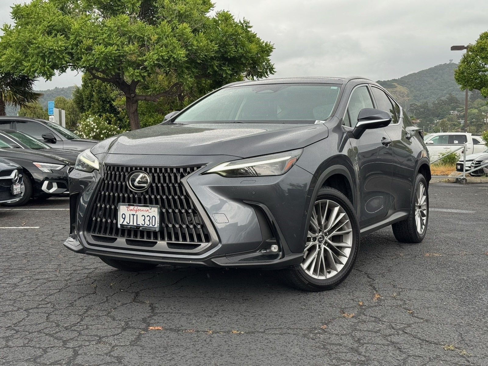2024 Lexus NX 350h 350h Luxury AWD's photo