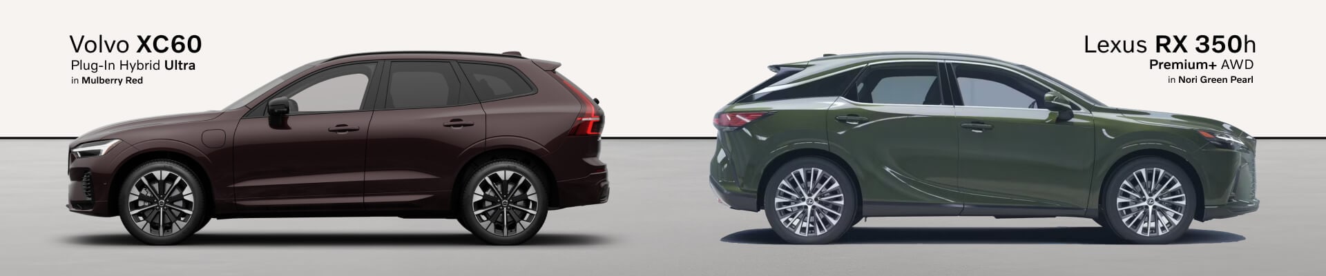 2026 Volvo XC60 Vs. Lexus RX 350