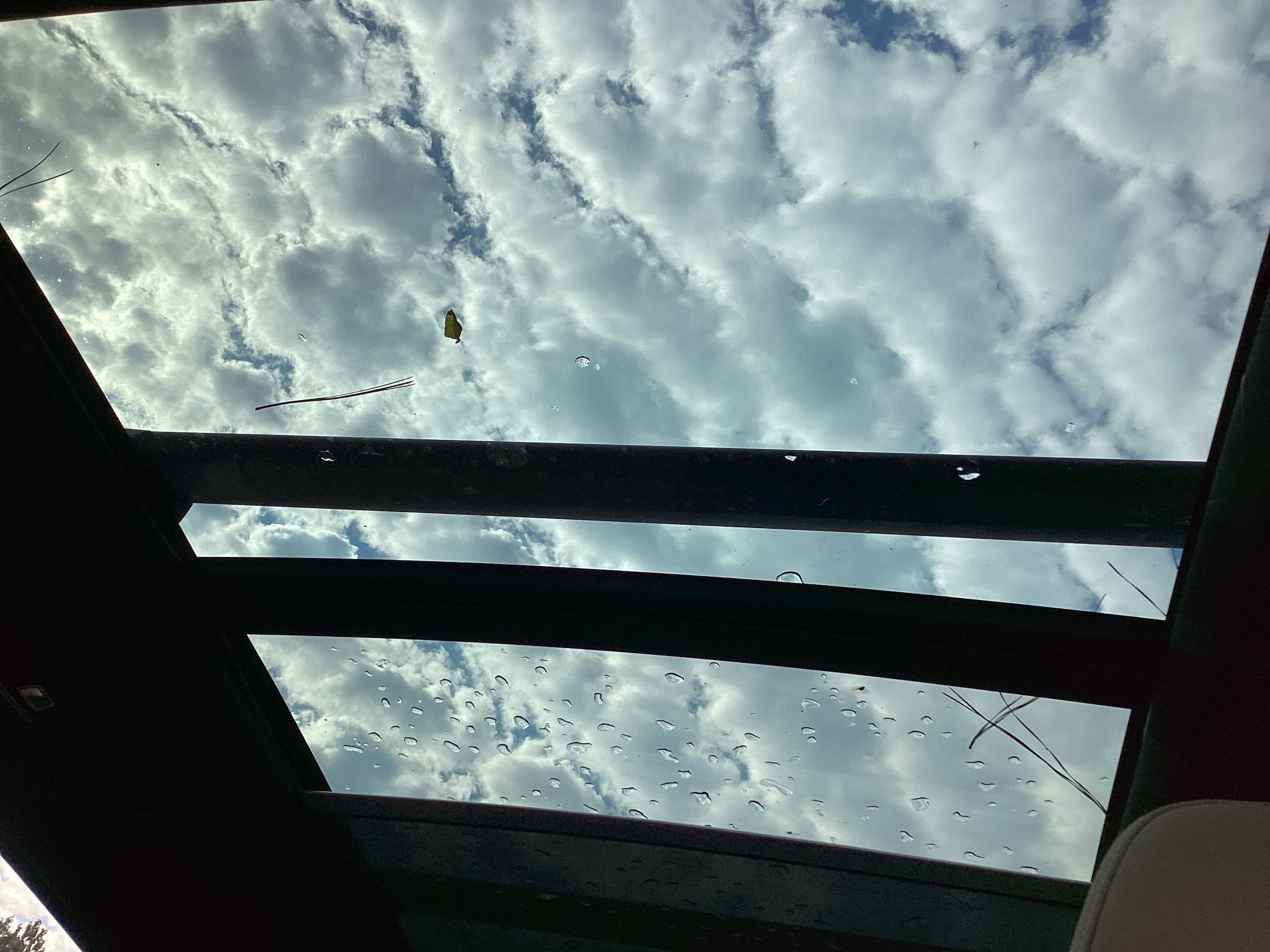Photo 31