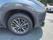 2022 LEXUS NX 350 Premium AWD SUV