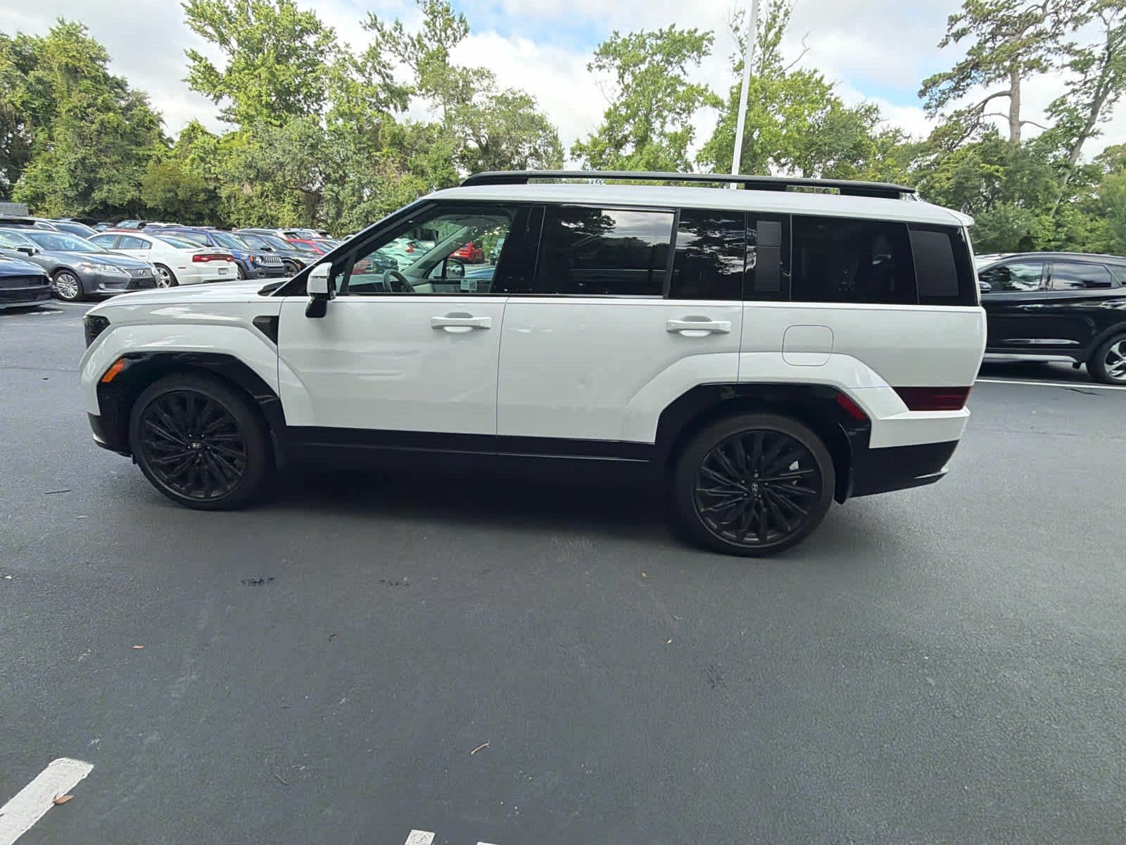 Hyundai Santa Fe Calligraphy