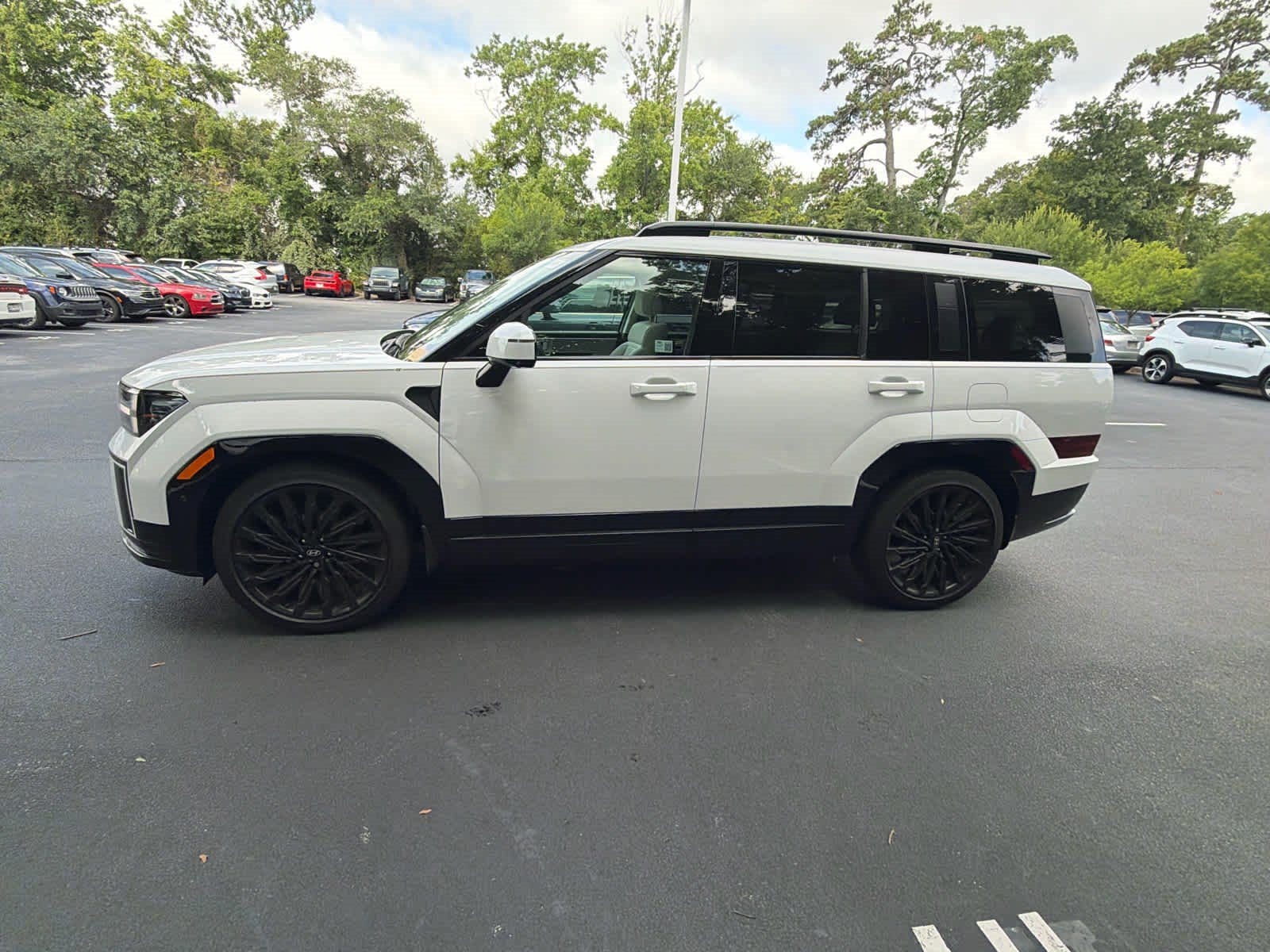 Hyundai Santa Fe Calligraphy