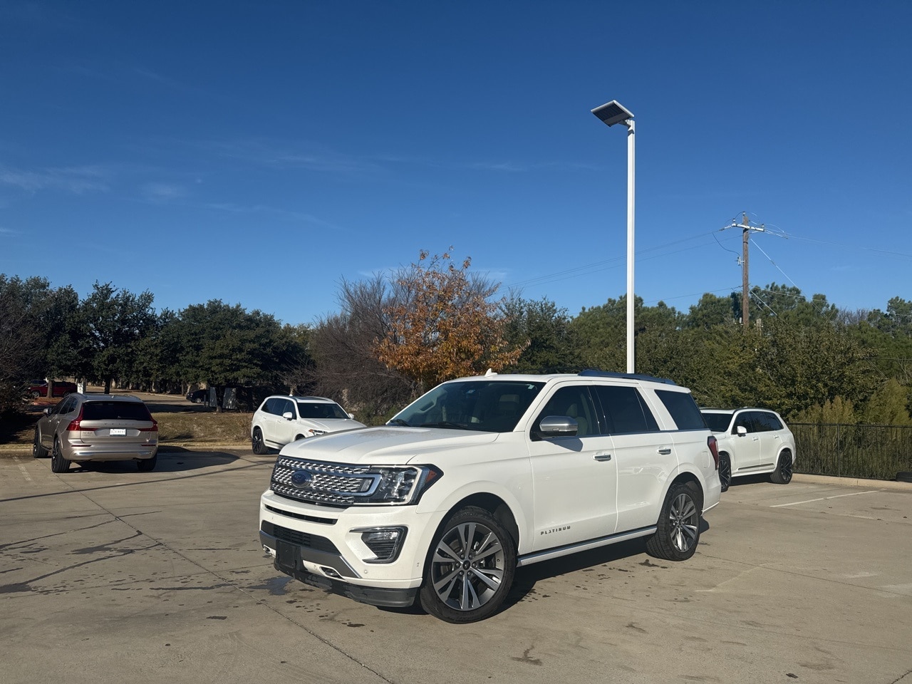 2020 Ford Expedition Platinum's photo