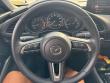 2024 Mazda Mazda3 2.5 Carbon Turbo Hatchback