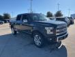 2015 Ford F-150 Platinum Truck