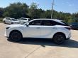 2025 LEXUS RX 350 Premium SUV