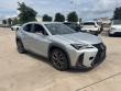 2019 LEXUS UX 200 F Sport SUV