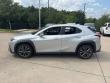 2019 LEXUS UX 200 F Sport SUV