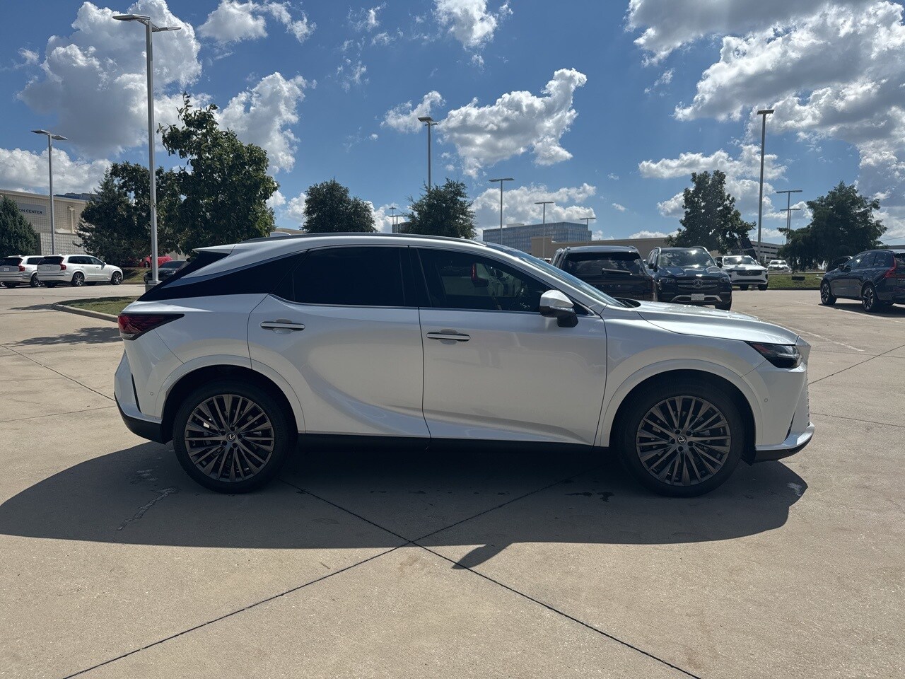 2023 Lexus RX 350 Luxury photo 4