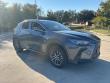 2024 LEXUS NX 250 Premium SUV
