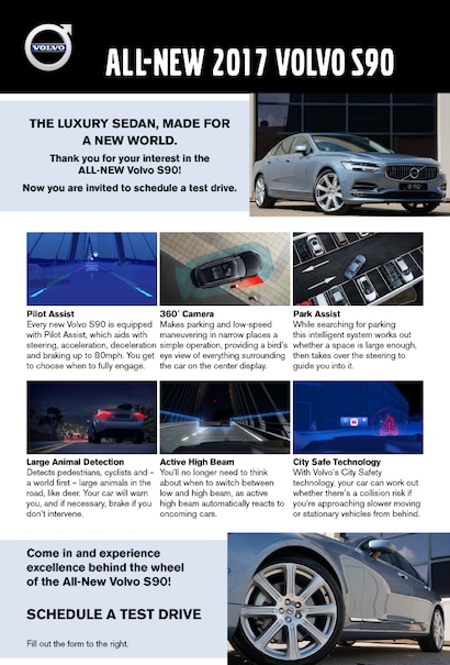 How Do Deer React to Vehicles? Surprising Behaviors Revealed