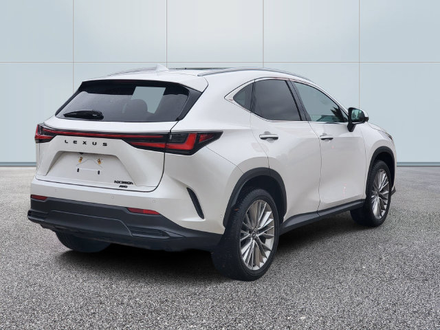 Used 2025 Lexus NX 350h Luxury SUV