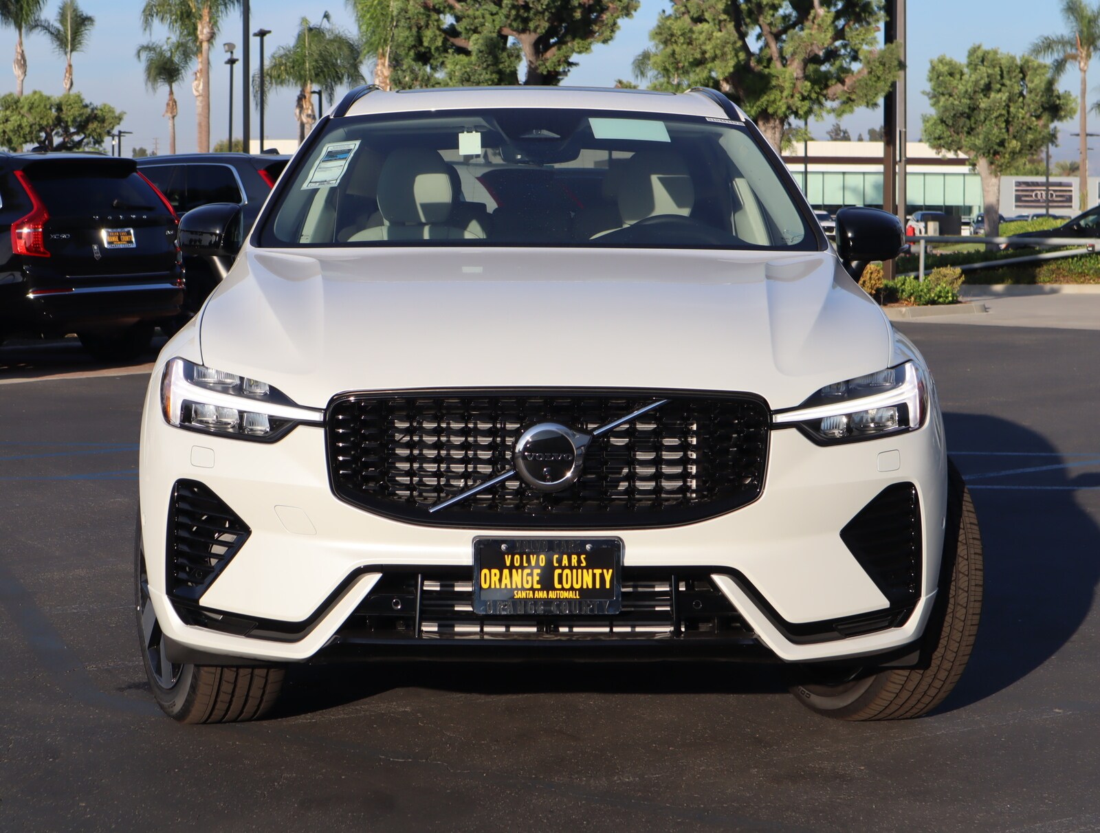 2025 Volvo XC60 Hybrid T8 Plus photo 2
