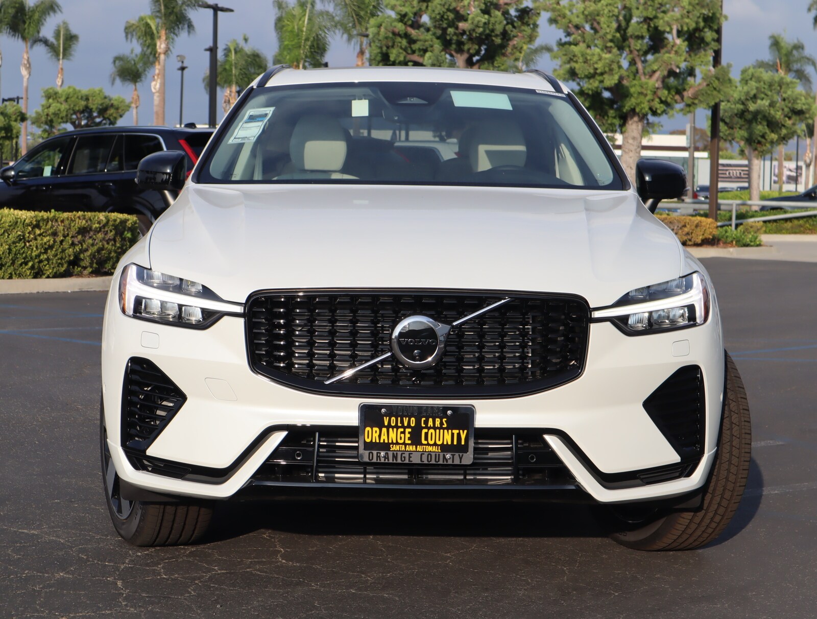 2025 Volvo XC60 T8 Plus photo 2
