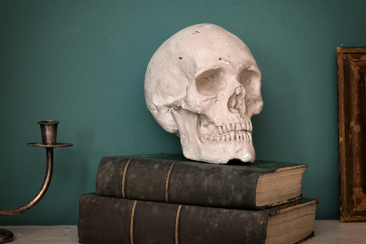 shakespeare skull on books