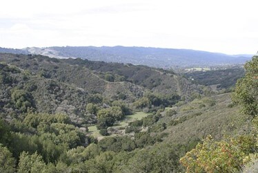 374 × 250
