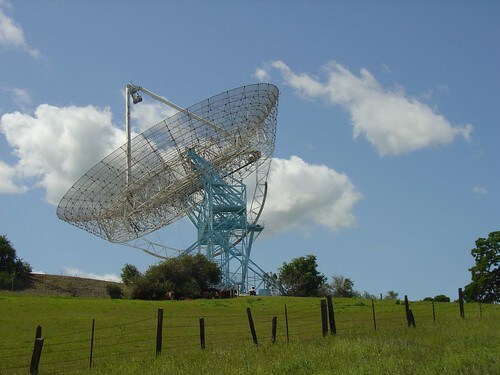 Nature-Filled things to do Around Palo Alto.jpg