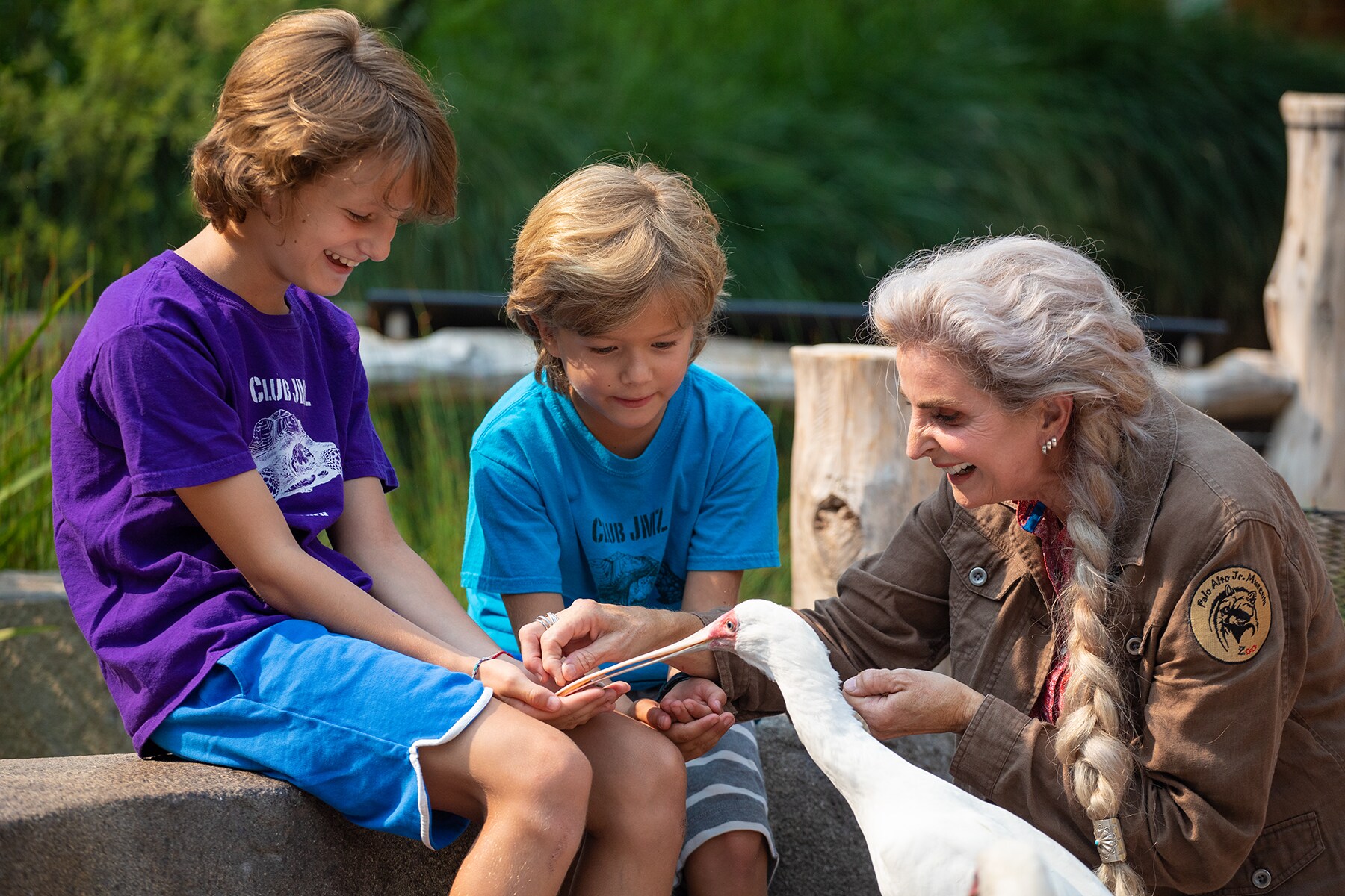 african spoonbills palo alto junior museum and zoo.jpg