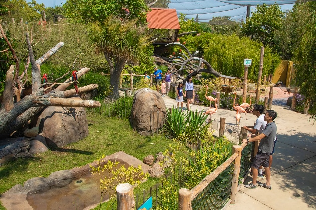 6 Museums To Visit Near Palo Alto CA-630x420.jpg