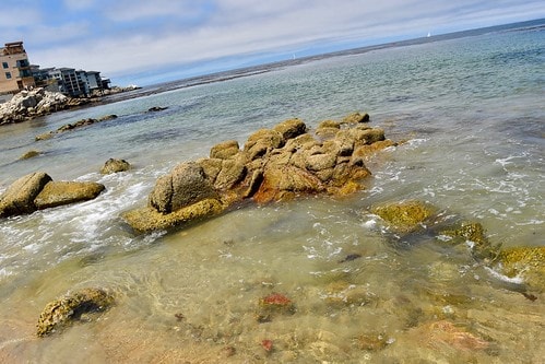 day trips from palo alto ca