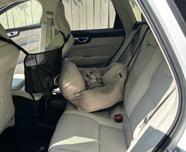 2023 Volvo XC60 Recharge Plug-In Hybrid Plus Dark Theme photo 5