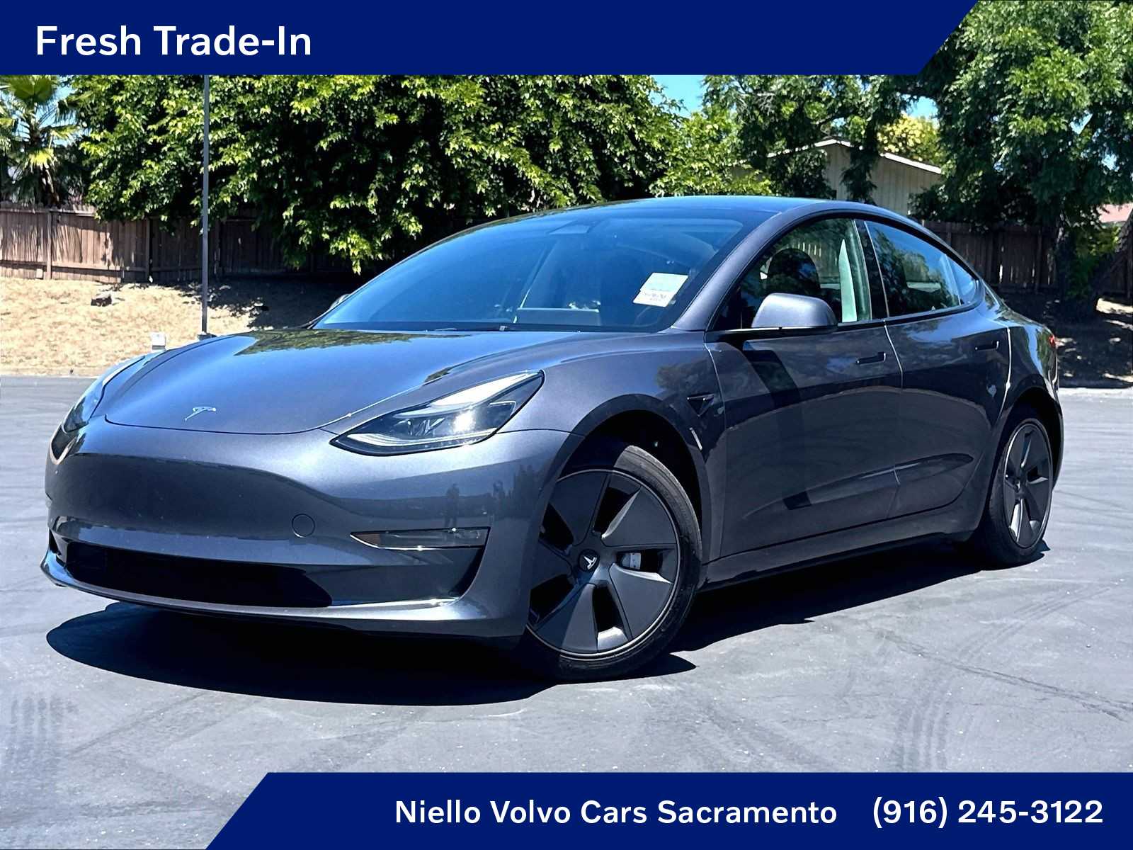 2023 Tesla Model 3 Long Range's photo