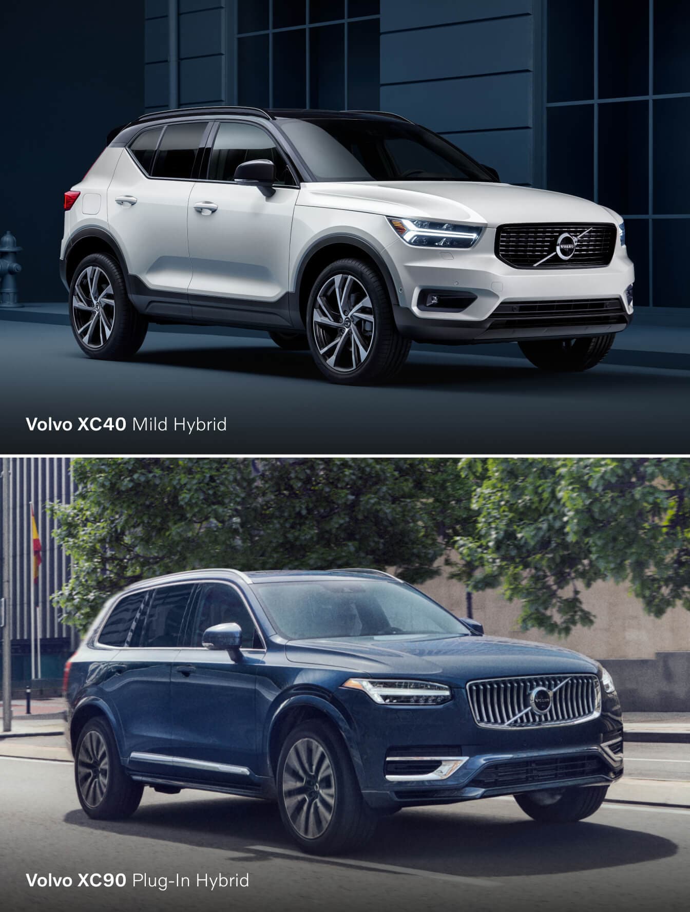 Mild Hybrid vs. Plug-In Hybrid