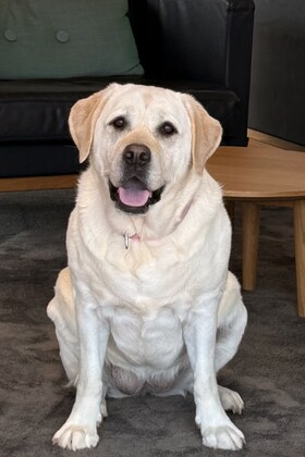 Staff member Bella from ID_c280a2e6faee