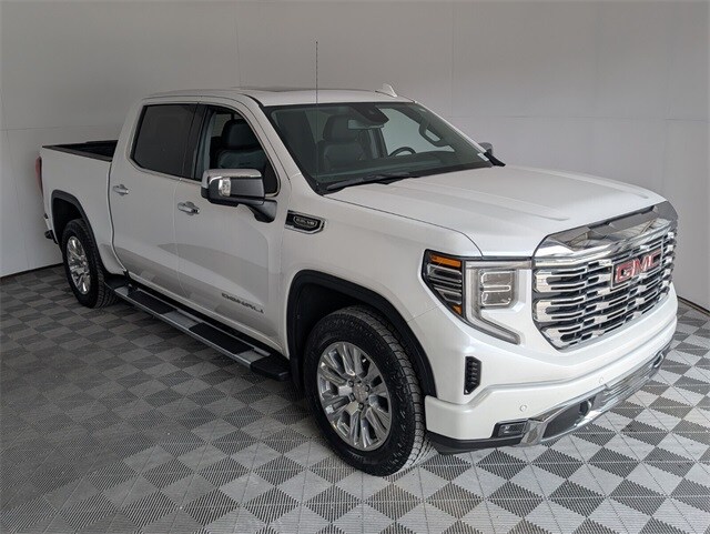 2022 Gmc Sierra 1500 Denali photo 2